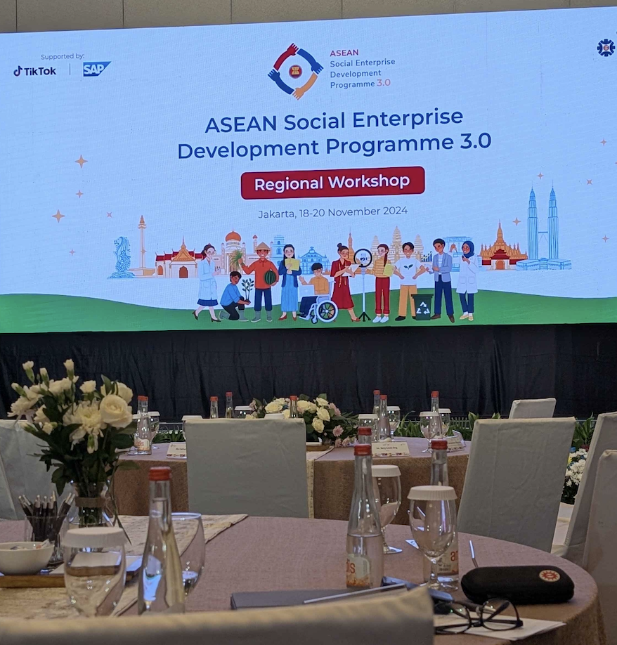 A Transformative Experience at the ASEAN SEDP 3.0 Regional Workshop ...